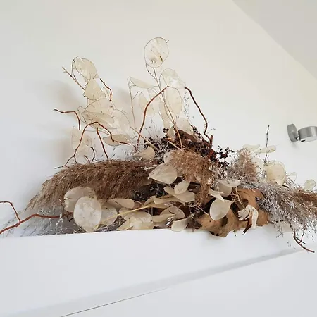 Der Ort Des Lichts By Interhome 公寓 埃斯特波纳