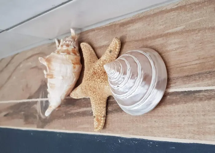 Der Ort Des Lichts By Interhome 公寓 埃斯特波纳