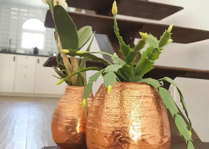 Daire Der Ort Des Lichts By Interhome *