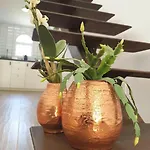 Διαμέρισμα Der Ort Des Lichts By Interhome *